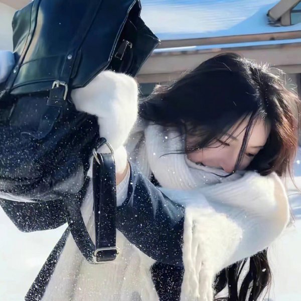 奈何盛世要宠我